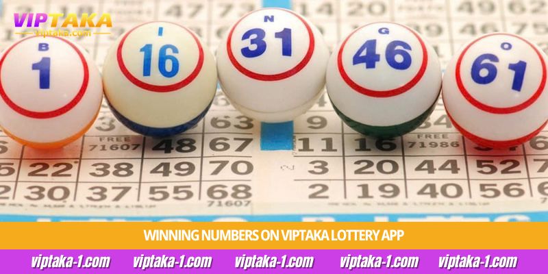 winning numbers on viptaka lottery app