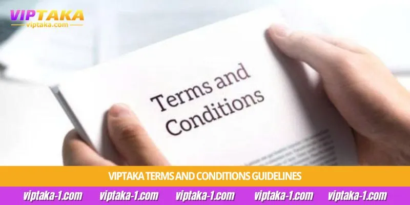 Viptaka Terms and Conditions Guidelines