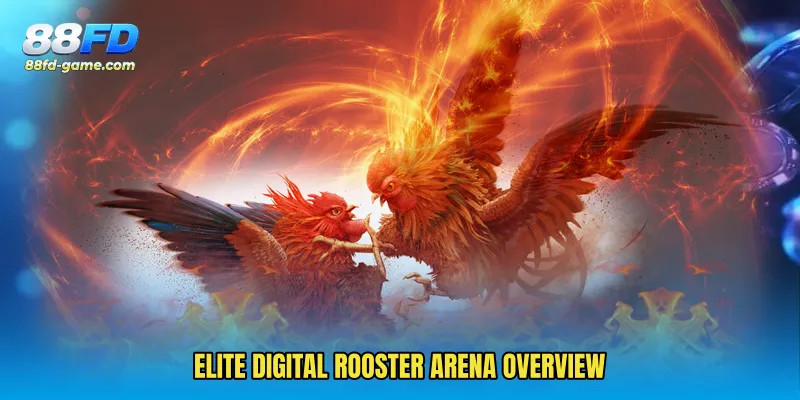 Elite digital rooster arena overview