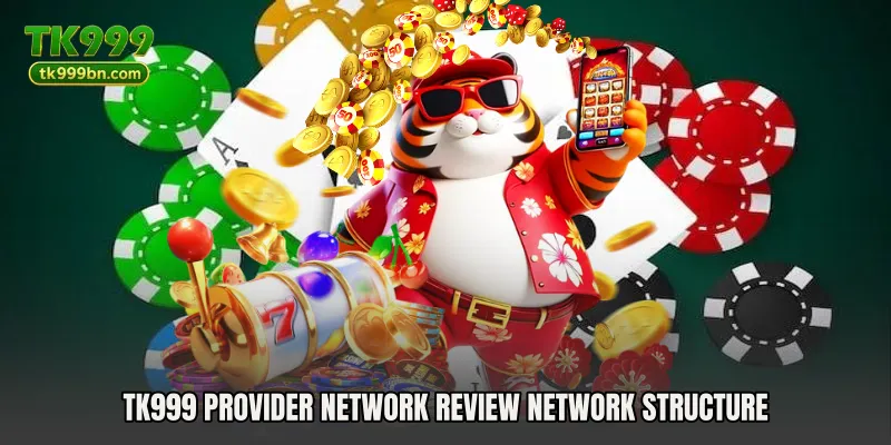 TK999 Provider Network Review Network Structure