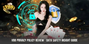 VB8 Privacy Policy Review - Data Safety Insight Guide